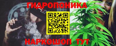 spice Нальчик