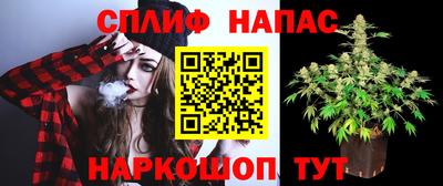 spice Нальчик